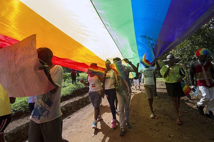 Research reveals what Google searches can tell us about the global human rights movement