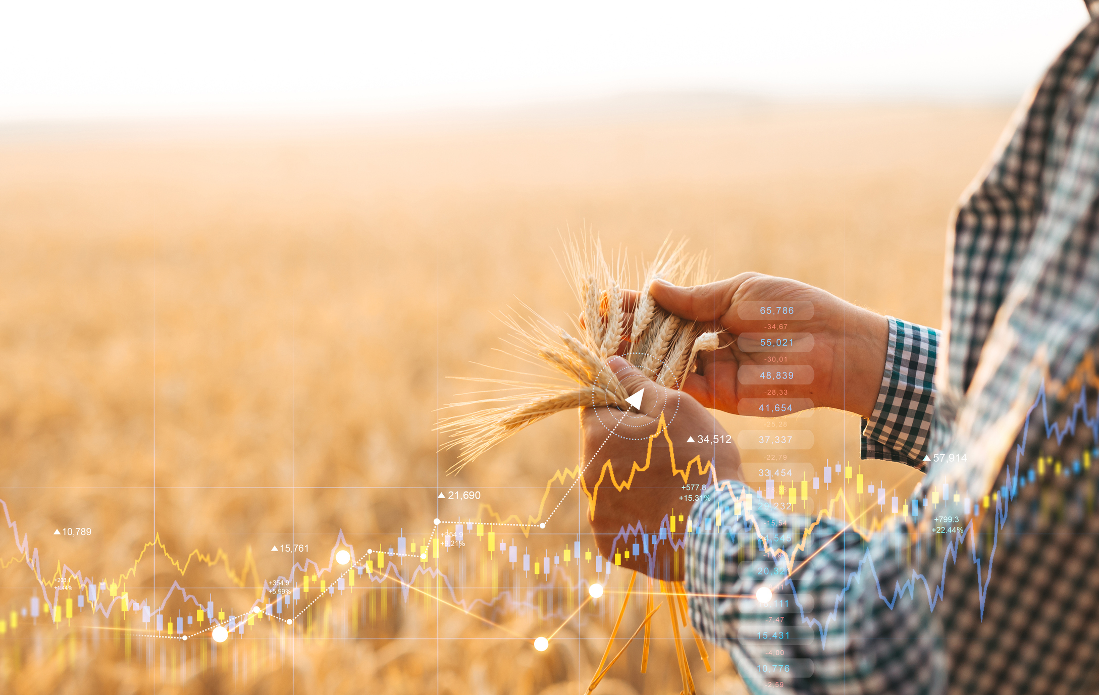 Agriculture Economists Expect Commodities to Lose Ground Going Forward