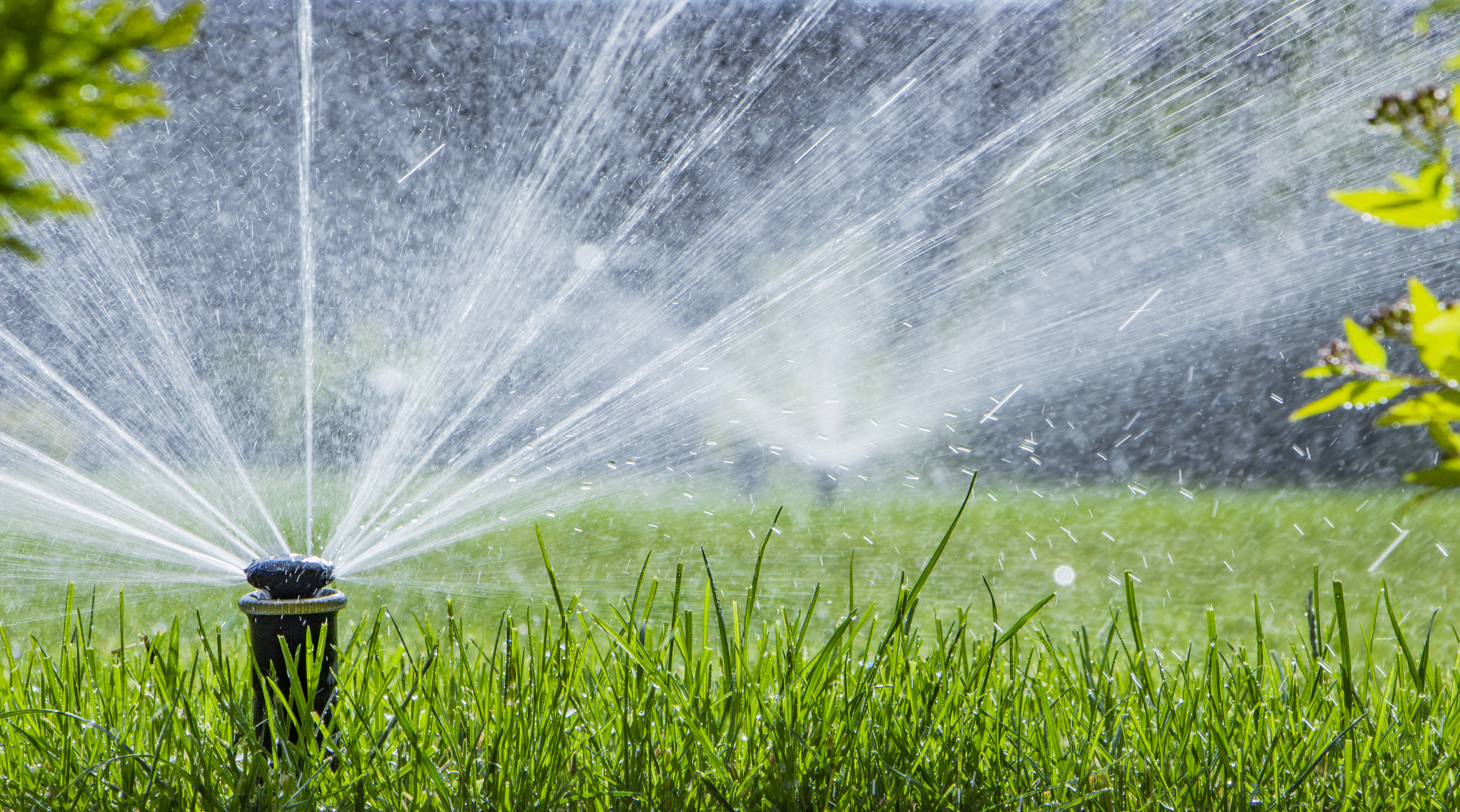 How Does a “Reverse Sprinkler” Work? Researchers Solve Decades-Old Physics Puzzle