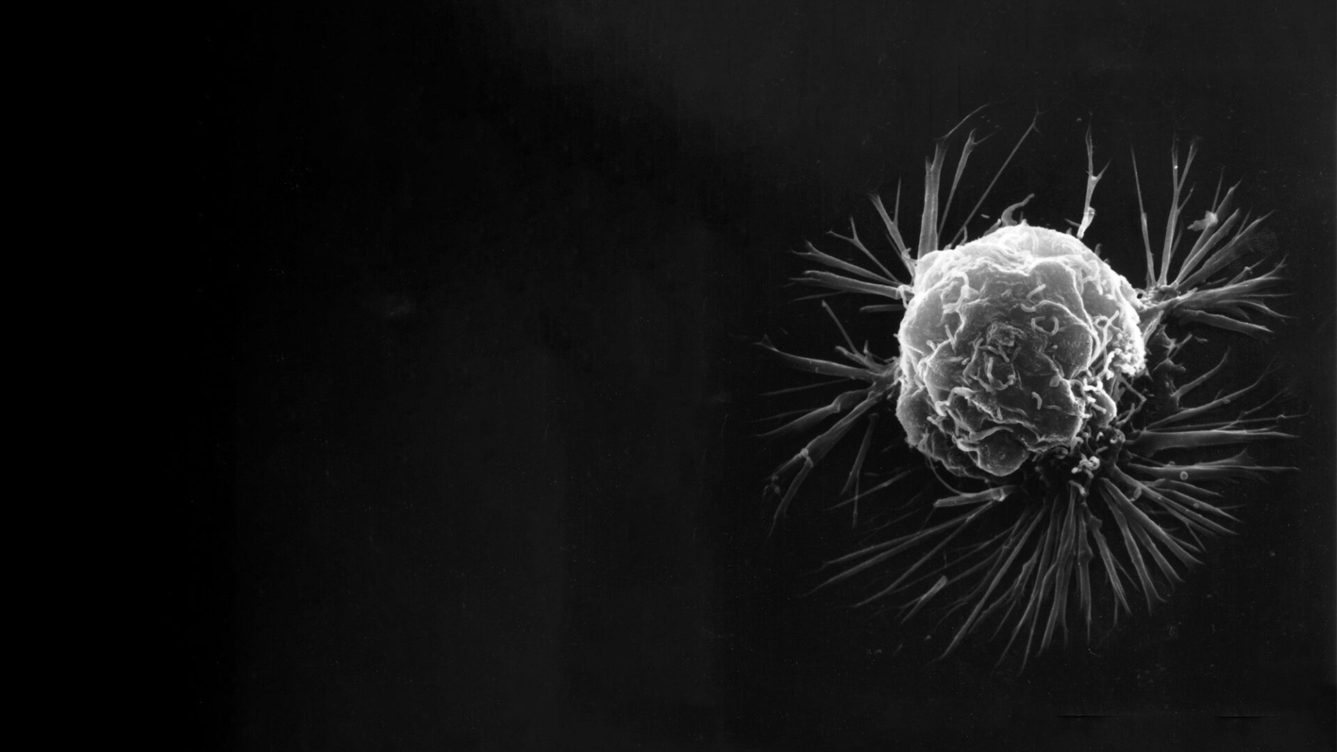 Could a Simple Blood Test Detect Cancer?