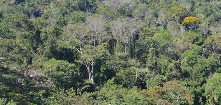"Scientists identify win-win situations with biodiversity and farming"