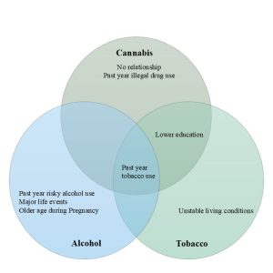 Leading indicators of substance use risk in prenatal women