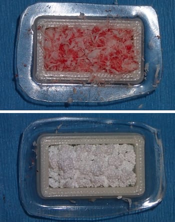 rice-jaw-2.jpg