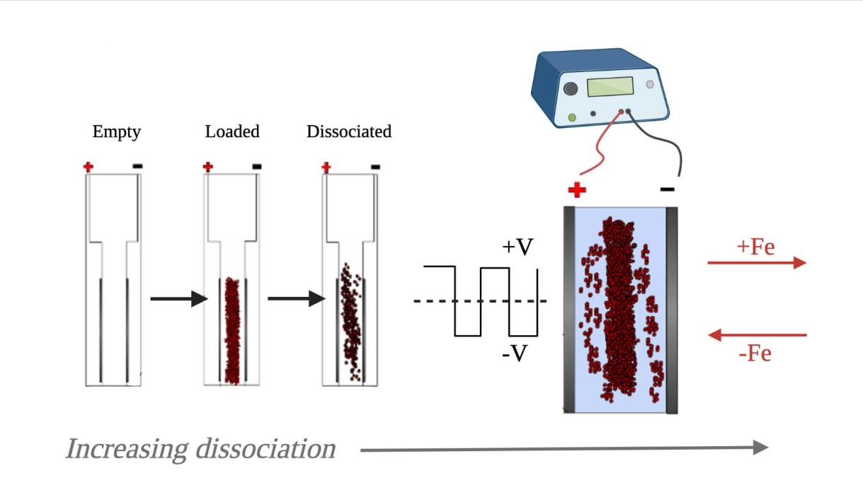 A figure from the new paper in Scientific Reports illustrates an innovative tissue dissociation process that uses electricity to efficiently and effectively isolate cells for single-cell analysis and sequencing.