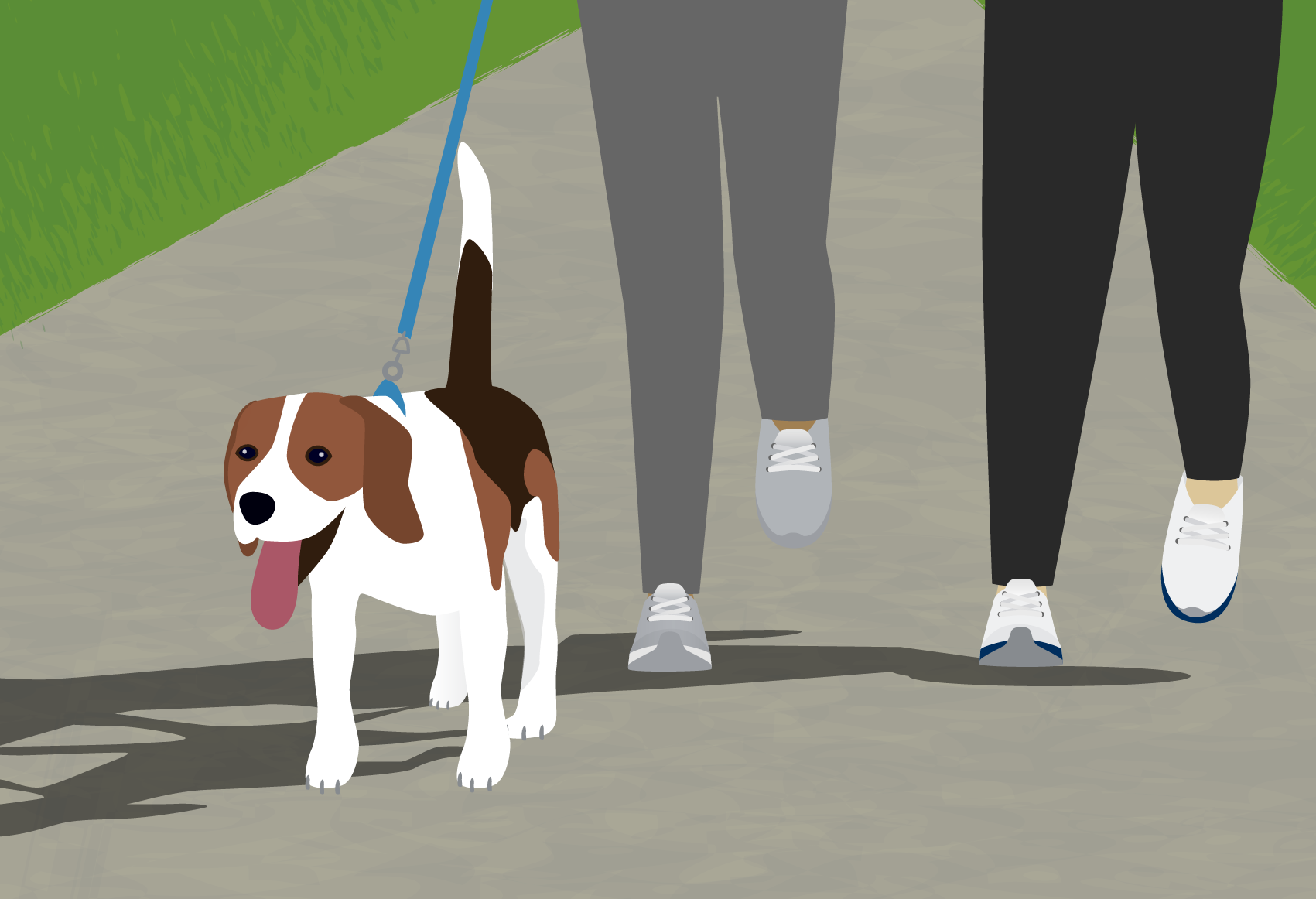 umich-pets2.png