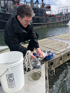 George von Dassow studying worm larvae on the dock in Charleston
