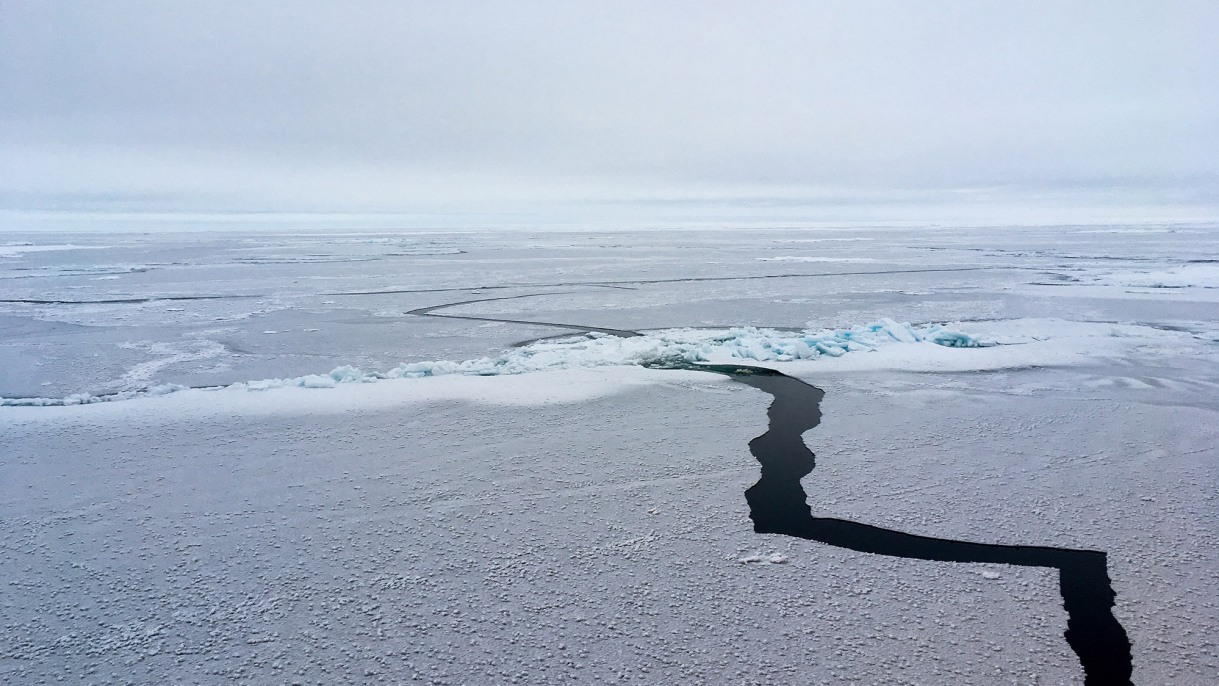 Brown-led research provides unprecedented look at what influences sea ice motion in the Arctic