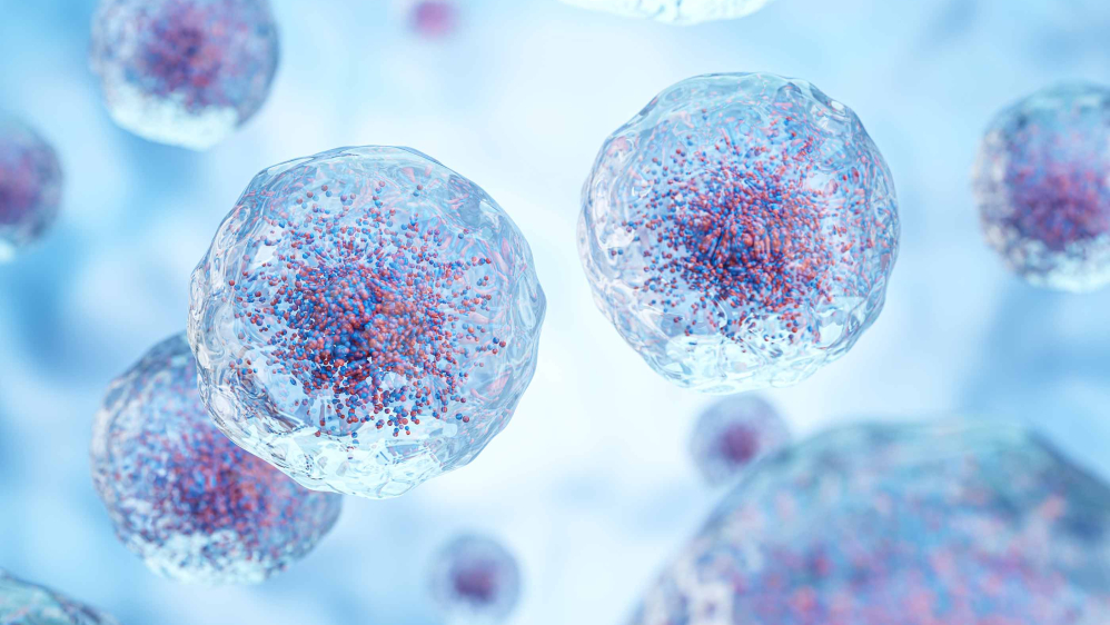 Rutgers Researcher, Through Spinoff, Develops a Handheld White Blood Cell Tracker