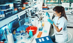 Woman conducting research