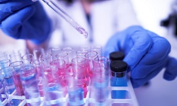 a researcher uses a pipette to transfer liquid into test tubes
