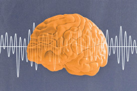 Diigital illustration of Ultrasound waves traveling through a brain