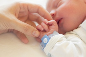 a baby holding an adult hand