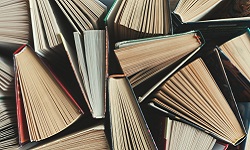 stock image of standing books