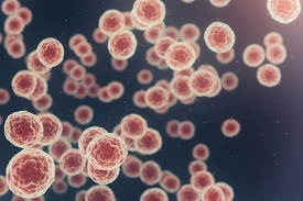 Cancer cells