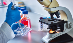 scientists working with samples and a microscope