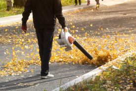 Person leafblowing leaves off a street