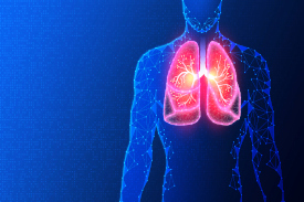 digital outline of a human body in blue with lungs outlined in blue