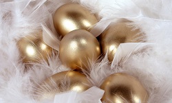Golden eggs lying atop goose feathers