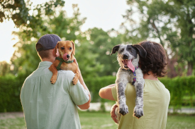 two people holding dogs
