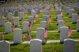 Green grass with rows of rounded white tombstones and american flags