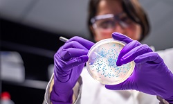 woman working in a laboratory