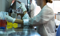 A researcher working with samples in a lab