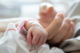 the hand of a newborn resting with the hand of their mother at the hosptial