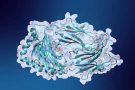 Digital image of a medical scan of cancer