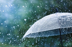 Rain falls on an umbrella