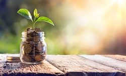 A small plant grows out of a jar of coins