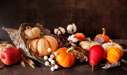 Thanksgiving themed picture of gourds