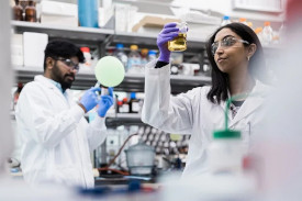 Young researchers working in a laboratory