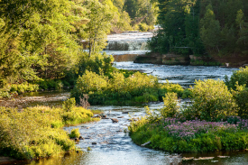 Photo of a river surrounded by greenery