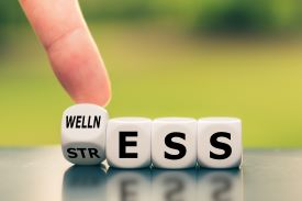 Four white dice spelling out wellness and stress