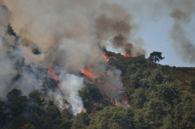Photo of a wildfire