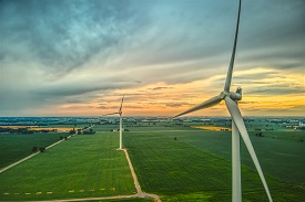 Wind turbines in a field