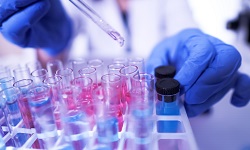 A scientist conducts an experiment using test tubes