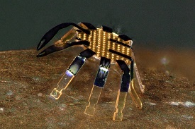 Close-up of half-millimeter wide robot shaped like a crab