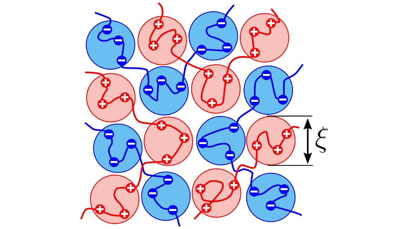 "Study Reveals Long-debated Makeup of the Molecules That Help Organize Your Cells"