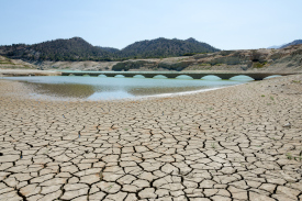 dried bed of a lake