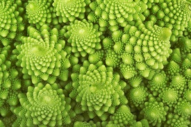 fractals