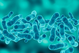 Digital rendition of bacteria