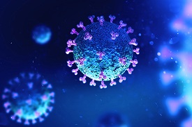 coronavirus