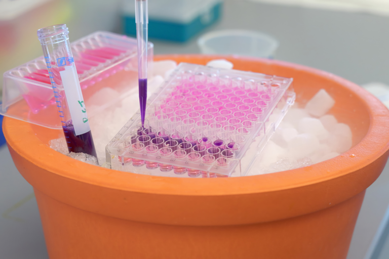 "Can a Natural Juice Help Your Gut Health? University of Missouri Researchers Find Evidence It Can"