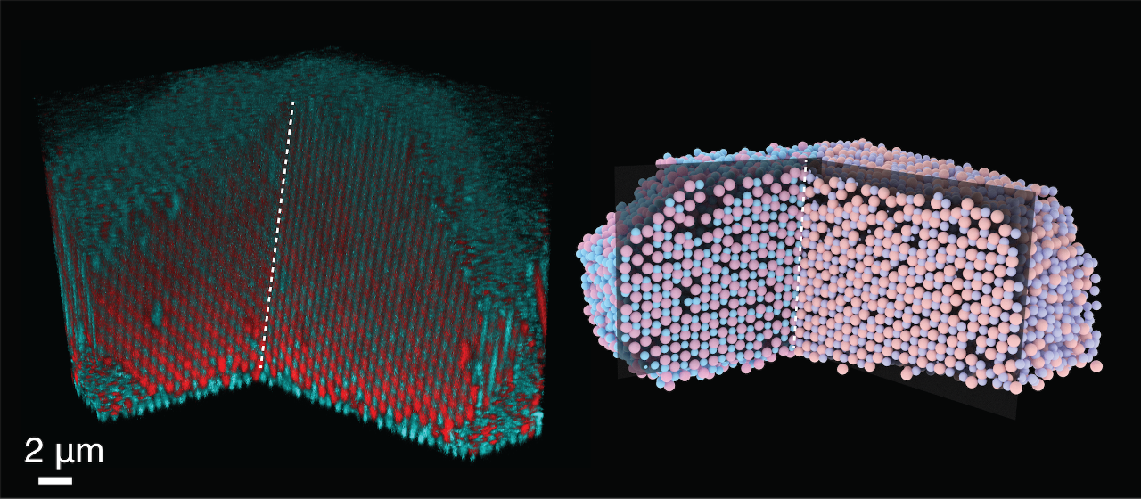 "Scientists Develop “X-Ray Vision” Technique to See Inside Crystals"