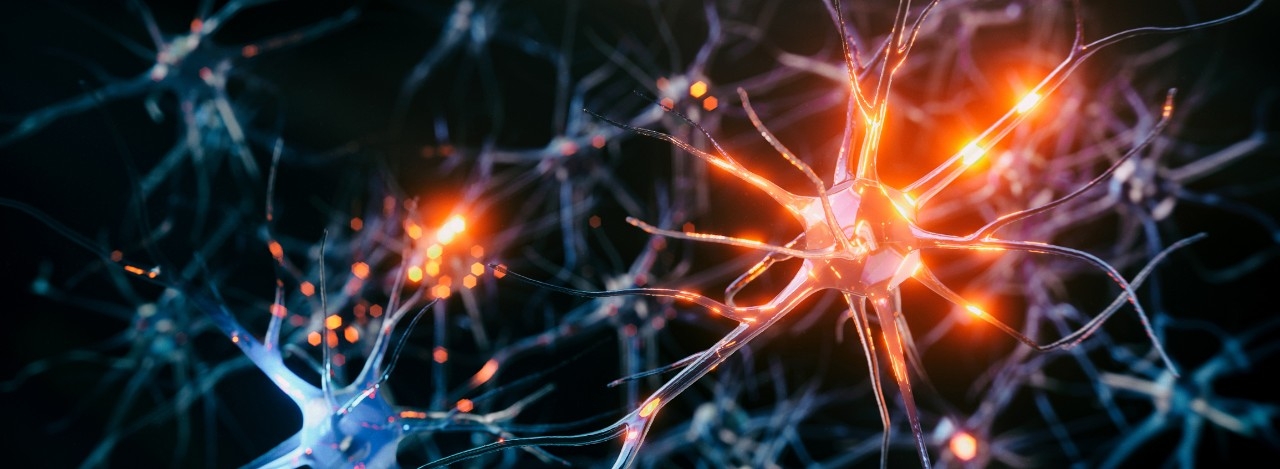 How Do Our Memories Last a Lifetime? New Study Offers a Biological Explanation