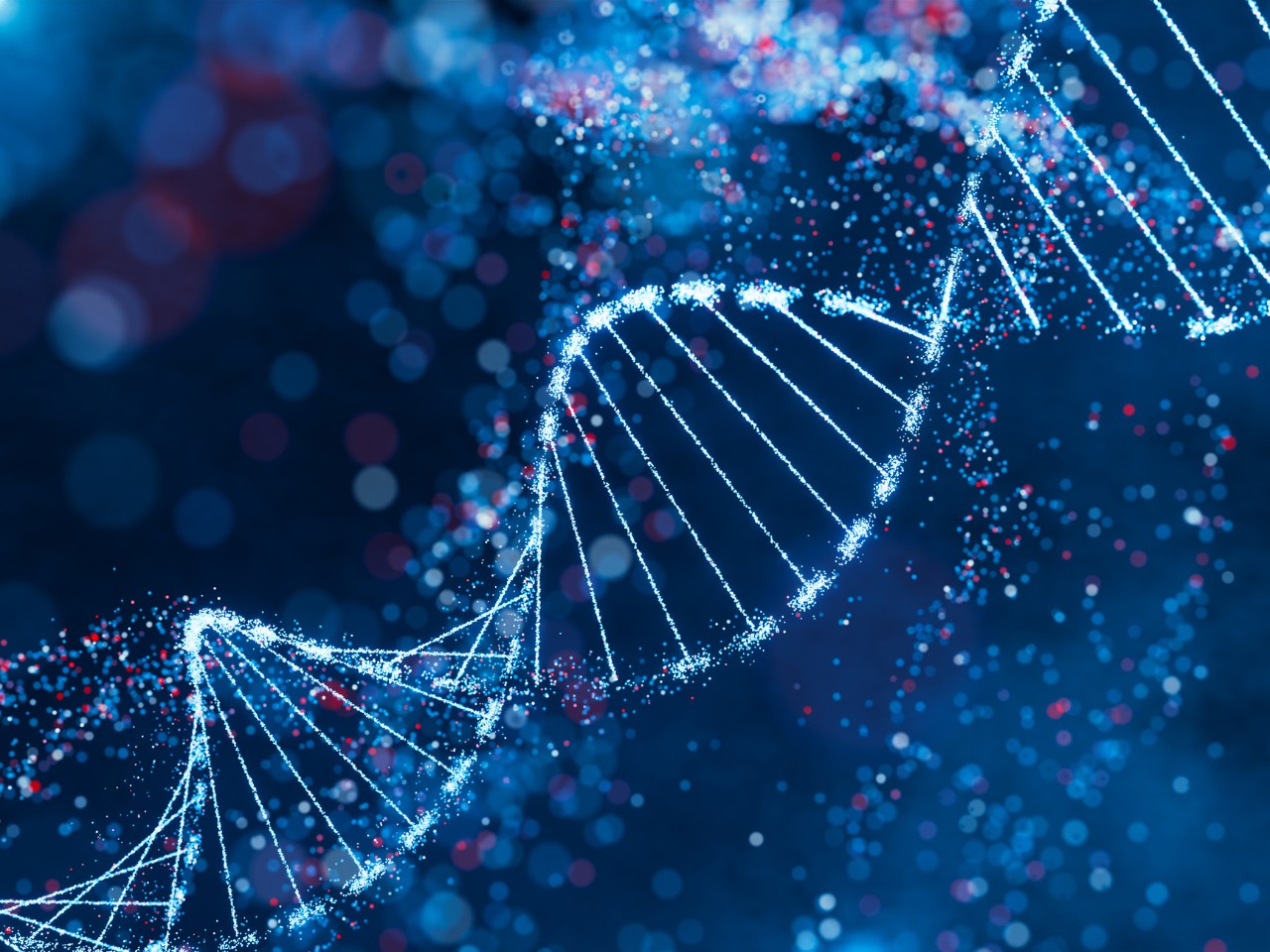 Stirred, Not Shaken—Scientists Uncover How Transcription Drives Motion within the Genome