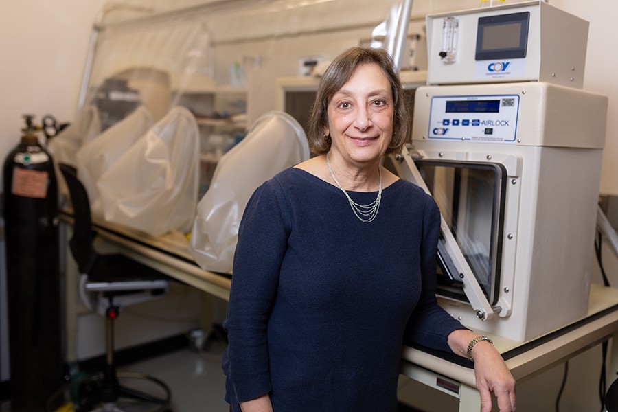 How a microbe and a prebiotic work together against food allergies