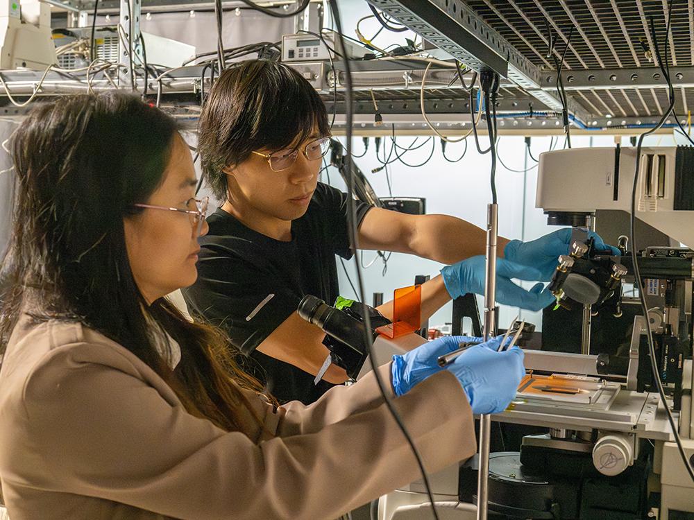 "Seeing like a butterfly: Optical invention enhances camera capabilities"