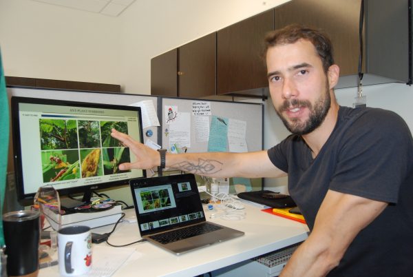 "Of ants and trees: ‘Evolutionary déjà vu’ in the tropical rainforest"